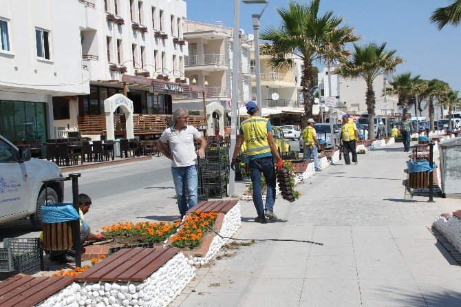 Didim’de Yalı Caddesi Çiçeklendiriliyor