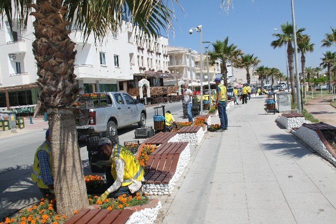 Didim’de Yalı Caddesi Çiçeklendiriliyor