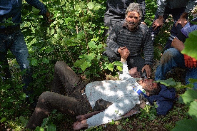 Ordu’da Minibüs Uçuruma Yuvarlandı: 1 Ölü, 5 Yaralı