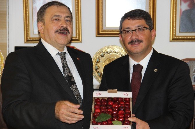 Bakan Eroğlu’nun Manisa Temasları