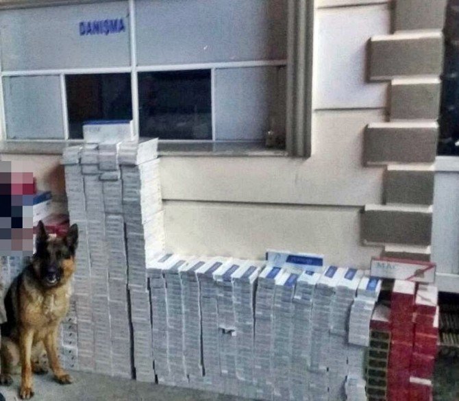 Gümrük Kaçağı 10 Bin Paket Sigara Ele Geçirildi