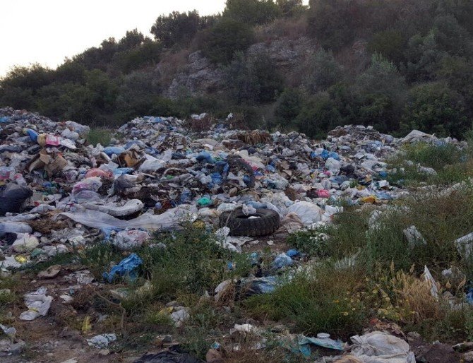 Zeytinliği Çöplüğe Çevirdiler
