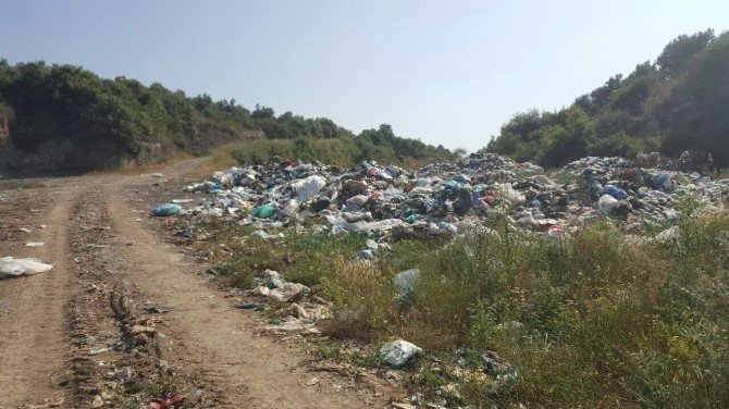 Zeytinliği Çöplüğe Çevirdiler