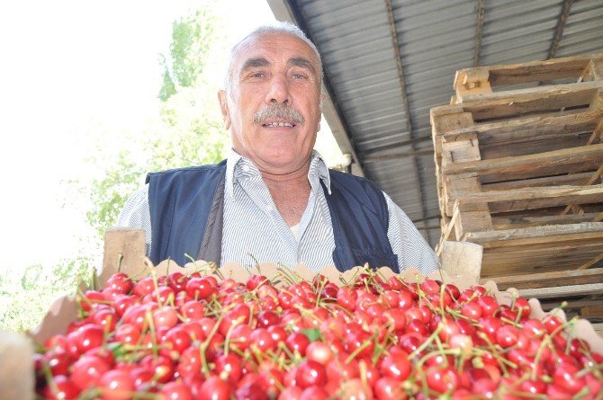 Şeftaliyi Kırağı Vurdu