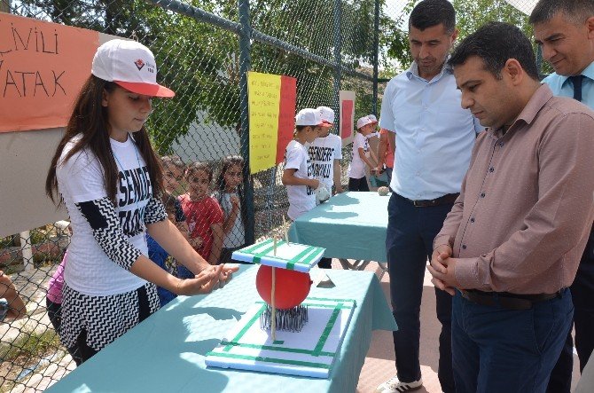 Esendere Ortaokulu Bilim Şenliği Düzenlendi