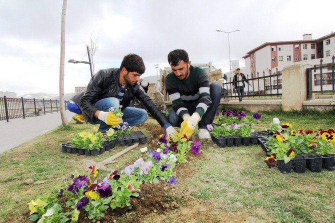 Kavşak Ve Orta Refüjlere Yeni İmaj