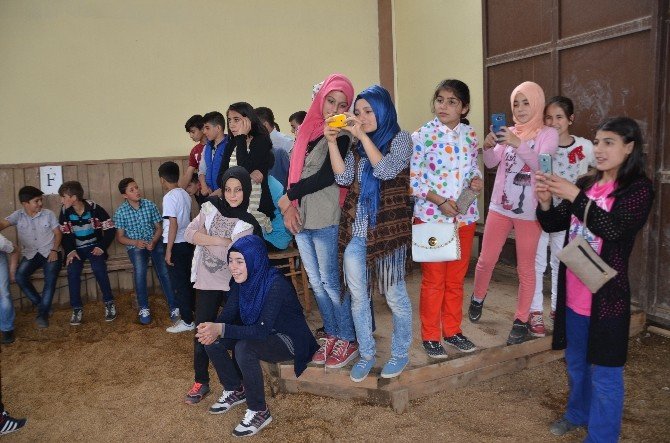 Hanönülü Öğrenciler İlk Kez Ata Bindi