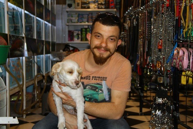 Sokak Hayvanlarını Ücretsiz Sahiplendiriyor