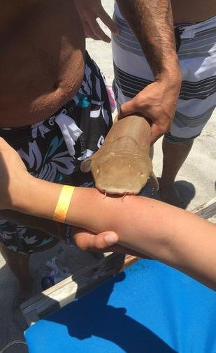 Kolundaki Köpek Balığıyla Hastaneye Kaldırıldı