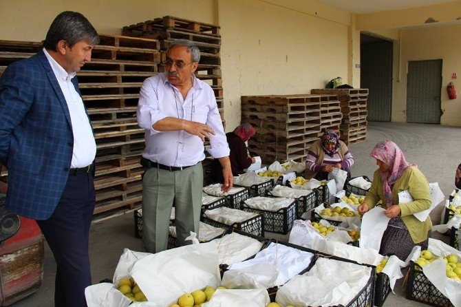Bolu’nun Seben İlçesinden Asker Ve Polislerimize 16 Ton Elma Gönderildi