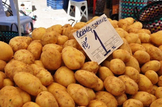 Patates Fiyatları Dibe Vurdu, Üretici İsyanda