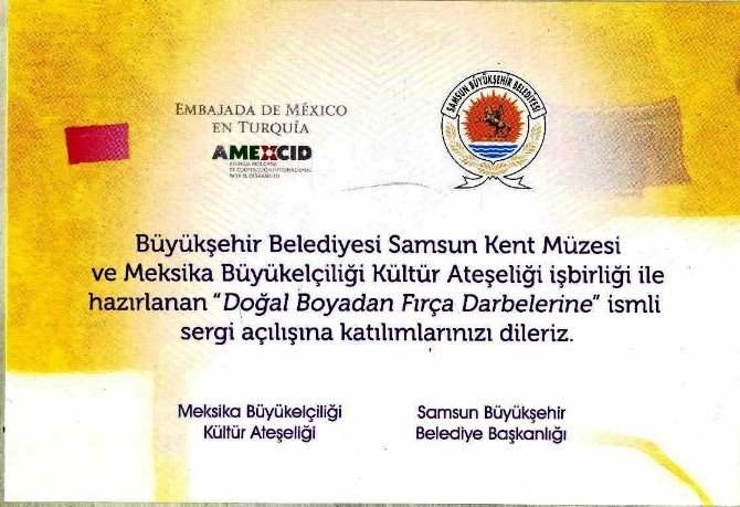 Doğal Boyadan Fırça Darbelerine