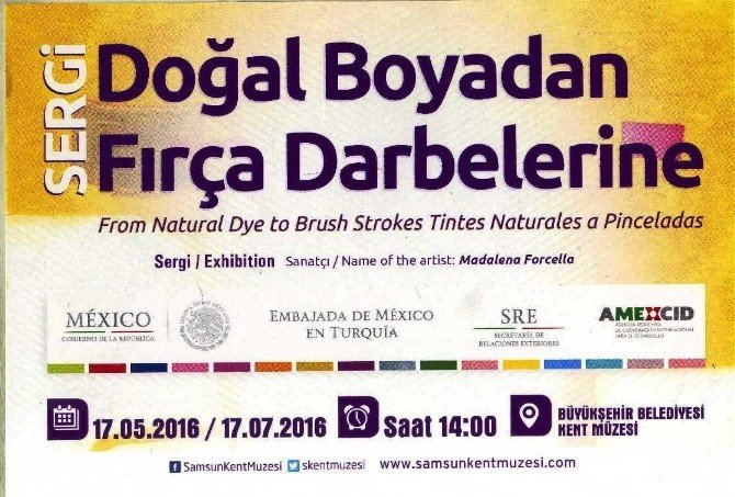 Doğal Boyadan Fırça Darbelerine