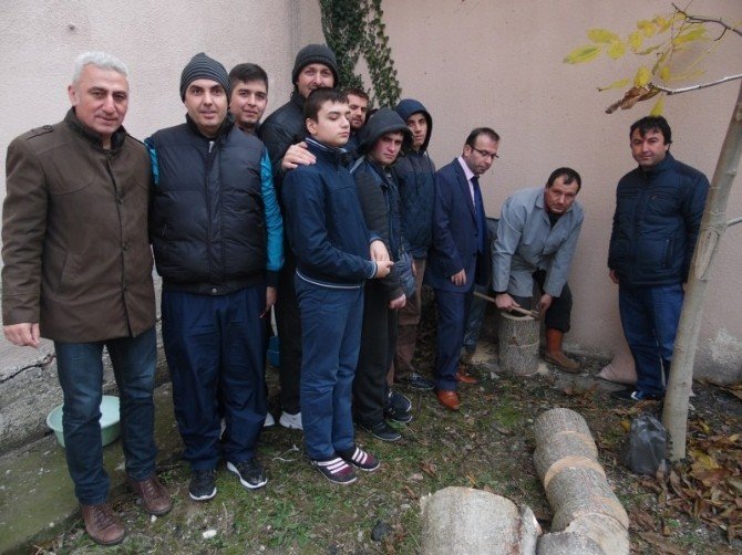 Mantarın Yolculuğu