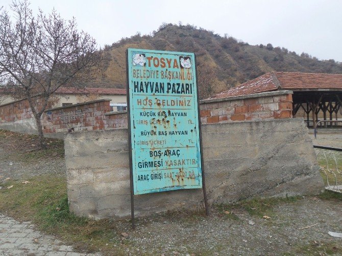 Tosya Hayvan Pazarı, Karantina Altına Alındı