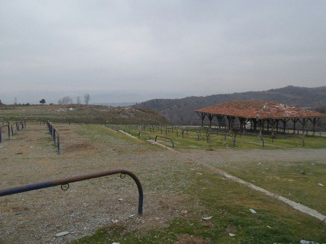 Tosya Hayvan Pazarı, Karantina Altına Alındı