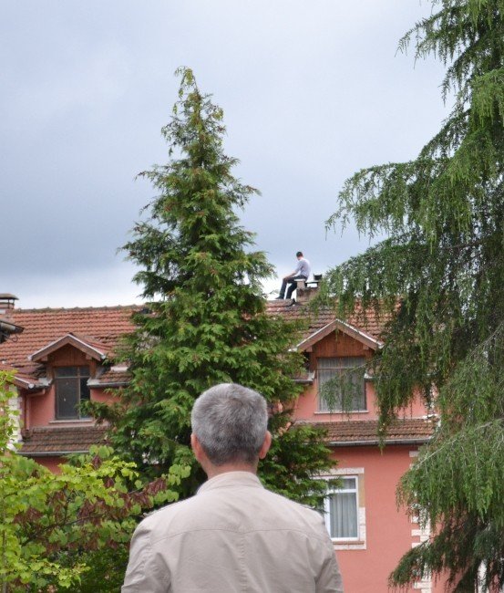Bonzai İçti, Çatıya Çıkıp İntihar Girişiminde Bulundu