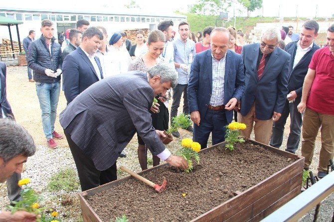 Vezirköprü’de Çiçek Dikme Etkinliği
