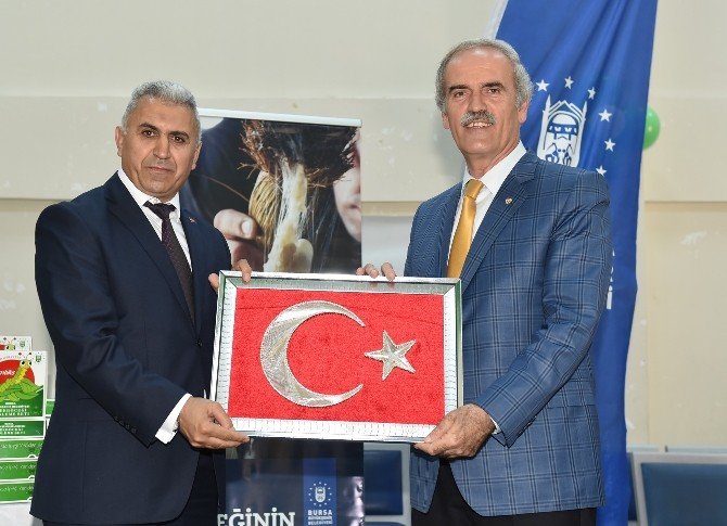 İpek Böceği Çocuklarla Hayat Buluyor