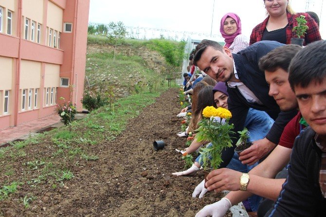 Vezirköprü’de Çiçek Dikme Etkinliği