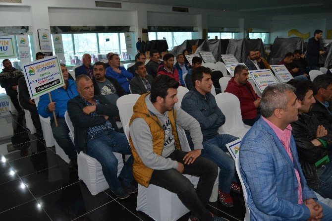 Ergül