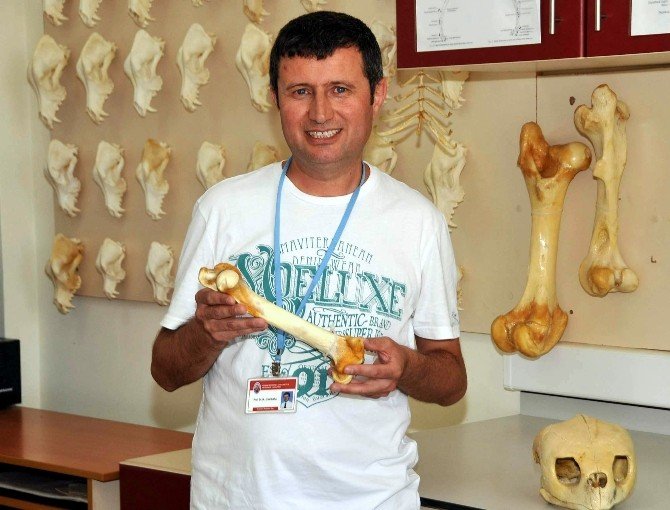 Öğrencileri Daha İyi Öğrensin Diye Leşleri Ayıklıyorlar