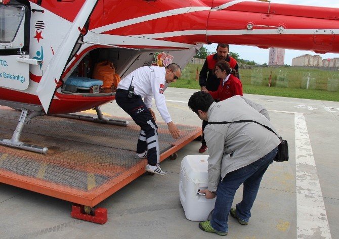 Beyin Kanamasından Ölen Kızın Organları 3 Hastaya Umut Oldu