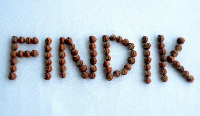 Fındık Tüket Kalbini Koru