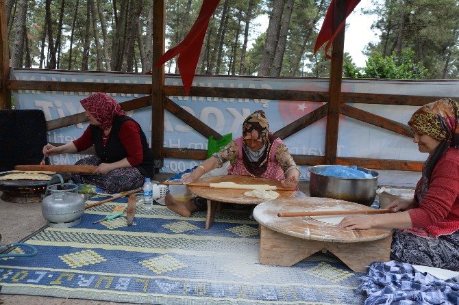 Türkav Bafra Şubesi’nden Geleneksel Piknik
