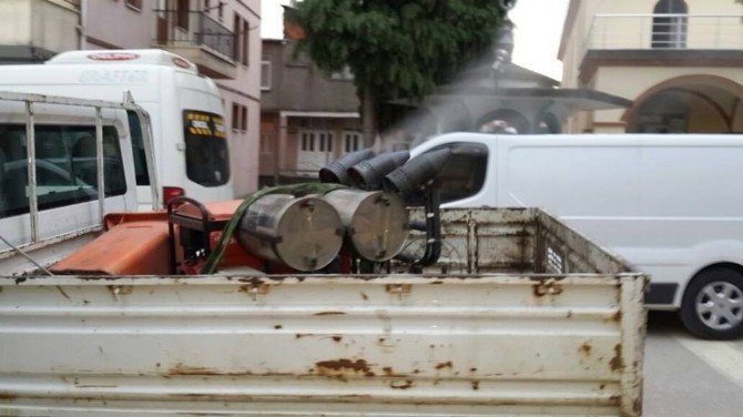 Akçakoca Gül Suyu Kokuyor