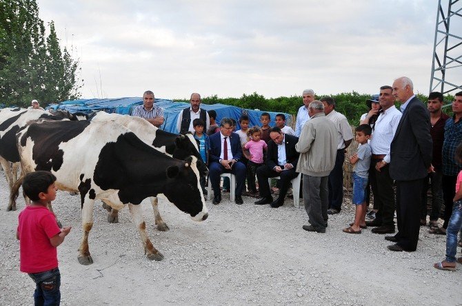 Tümer: "Tarım İşçilerine Kamp Alanı Oluşturulmalı"