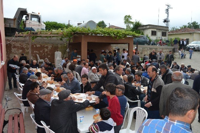 Alaçam’da Bolluk Aşı Etkinliği