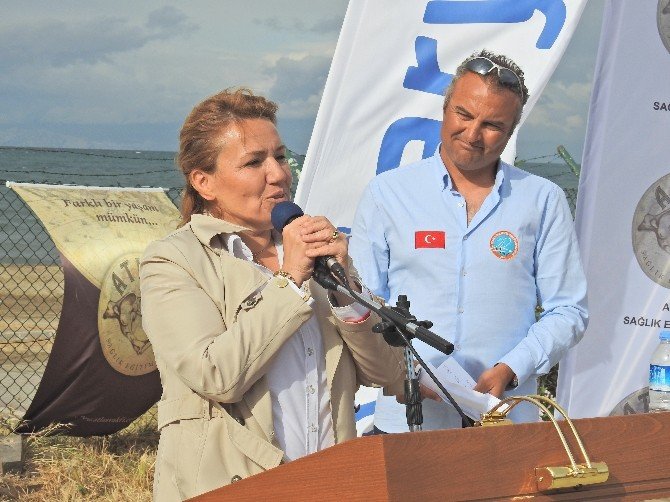 Tyf Ali Rıza Mete Rüzgâr Sörfü Federasyon Kupası Yarışları Sonuçlandı