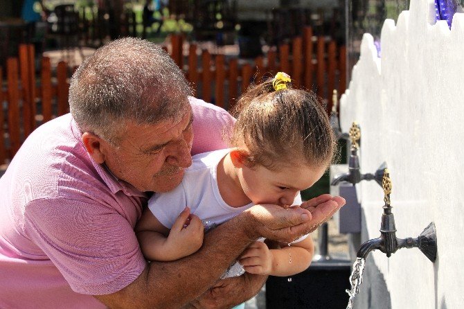 Dünyanın En Sağlıklı İçme Suyunu Sakarya Tüketiyor