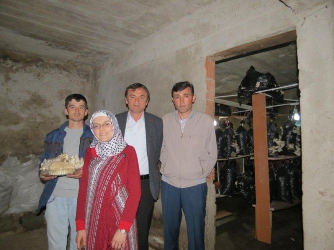 İstiridye Mantarı Kazandıracak