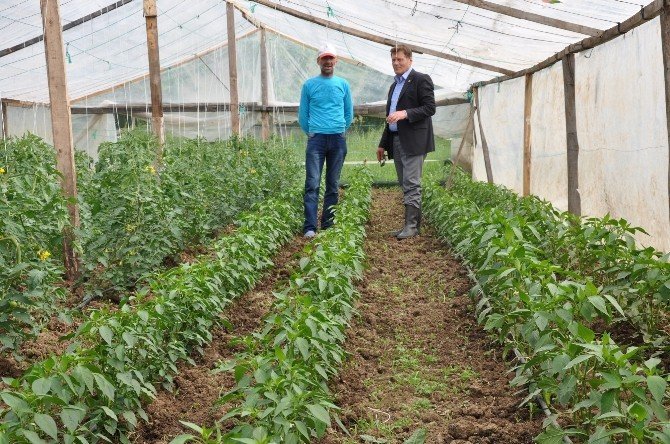 19 Mayıs’ta Tarım Çeşitliliği Artıyor