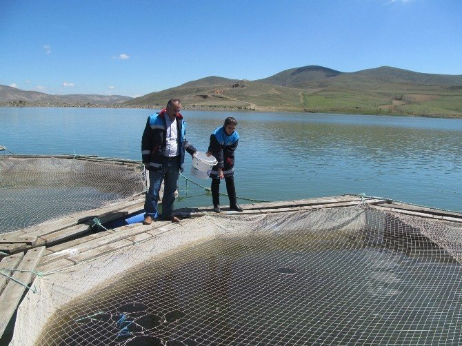 Bayburt’ta Av Yasağı Başladı