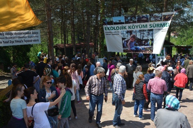 Bafra’da Ot Toplama Yarışması
