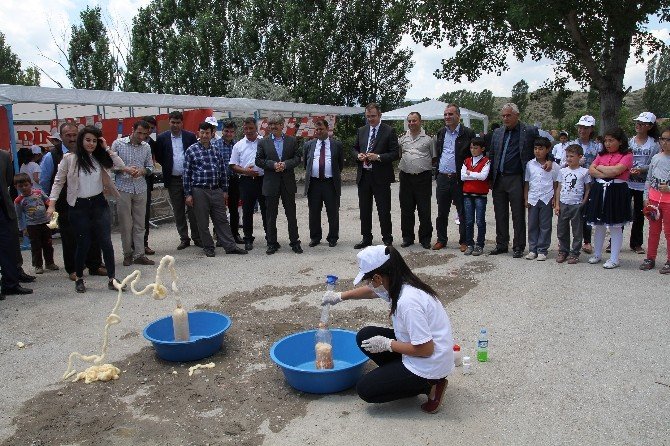 Osmancık’ta Tübitak 4006 Bilim Fuarı Açıldı