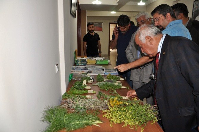 Tunceli’de Şifa Geleneği Sempozyumu