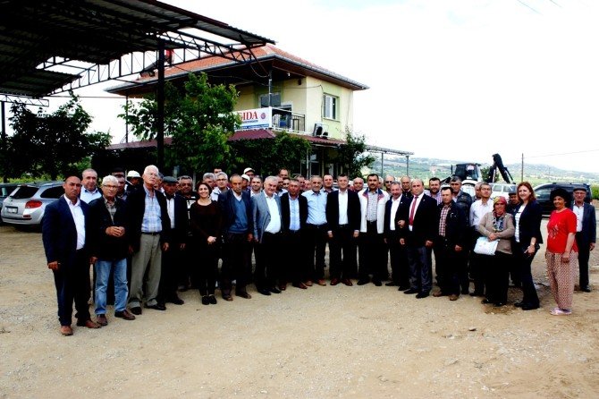 Chp’li Özel, Doludan Zarar Gören Üzüm Bağlarını İnceledi