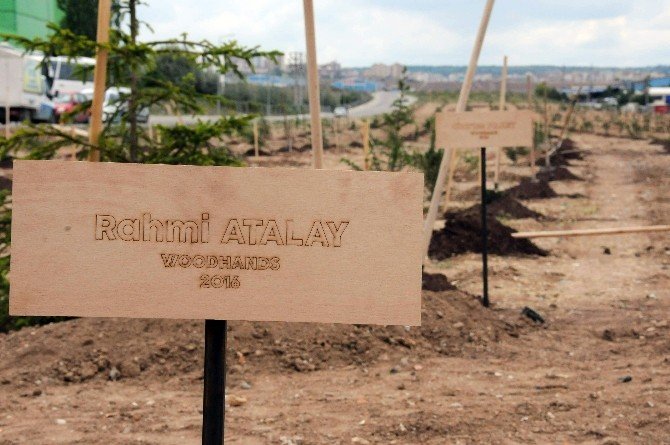 Odunpazarı Belediyesinden ‘Özgürlük Ormanı’