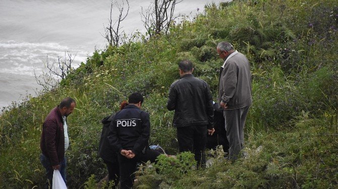 Odun Toplamaya Giden Yaşlı Adam Kalbine Yenik Düştü