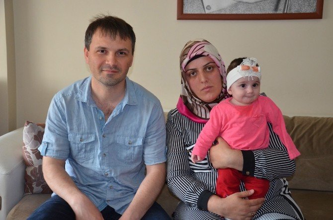 Zeynep Bebek, Yaşamını Tek Kolu İle Sürdürecek