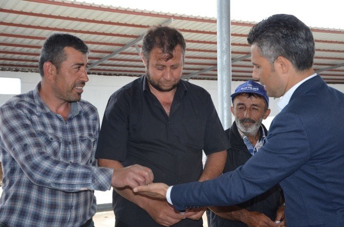 Bafra Sydv’den Manda Dağıtımı