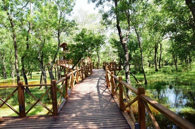 Kuş Cenneti Dünya Çevre Günü’ne Ev Sahipliği Yapacak