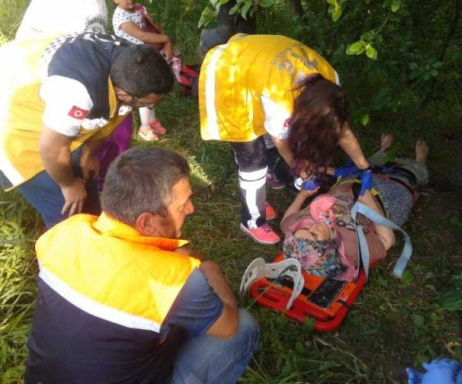 Erik Ağacından Düşen Kadını Afad Ekipleri Kurtardı