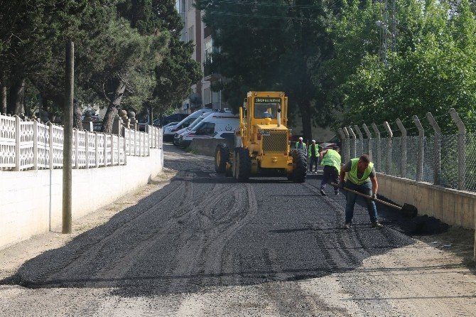 Sinop’ta Asfalt Çalışması Devam Ediyor