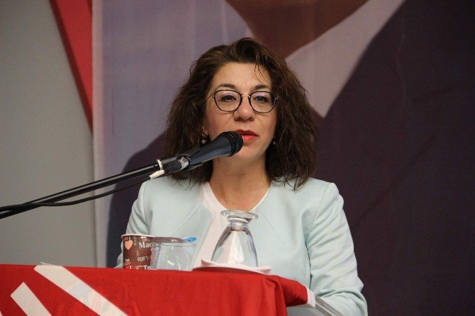 Chp’li Tezcan’dan Almanya Yorumu