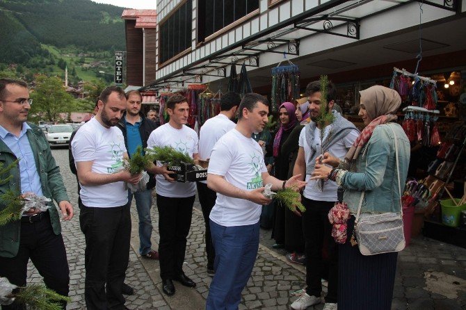 Trabzon’da Dünya Çevre Günü Hafta Sonu Çeşitli Etkinliklerle Kutlandı
